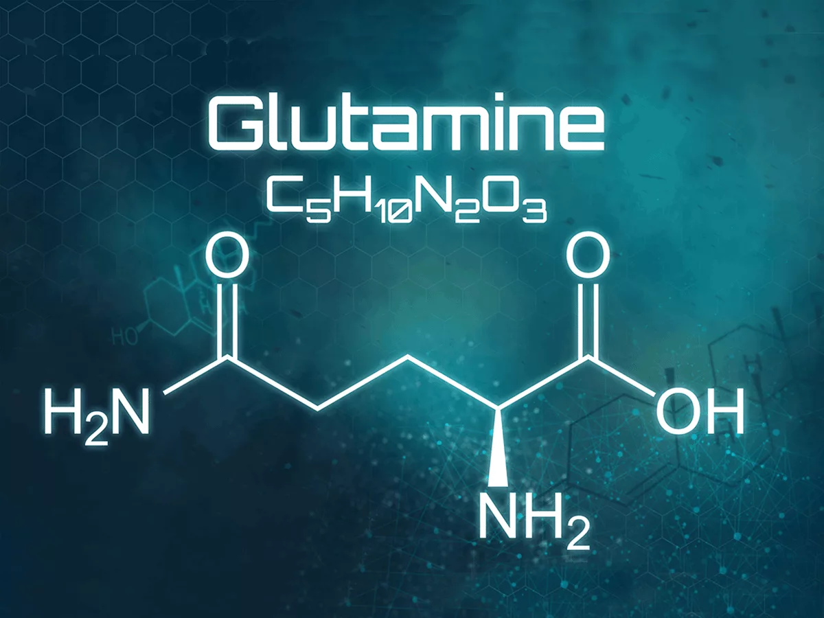 Glutamine skeletal formula Glutamine skeletal formula