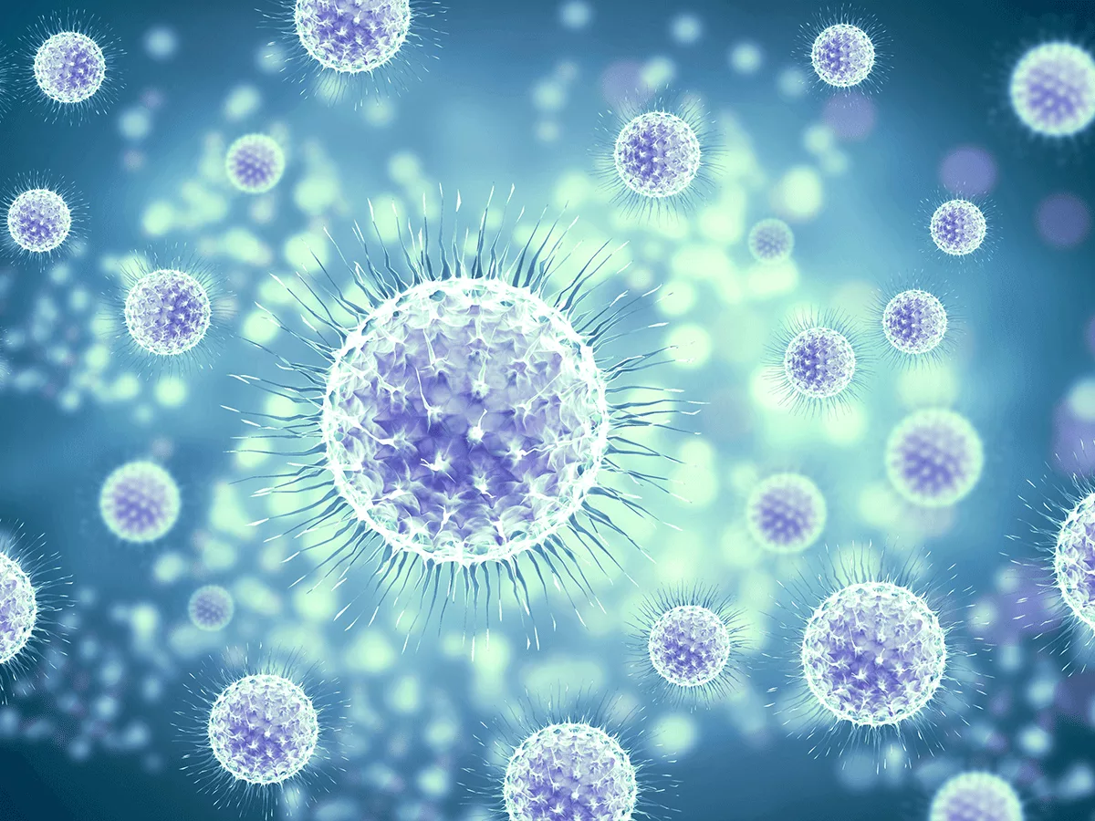 Virus cells Virus cells