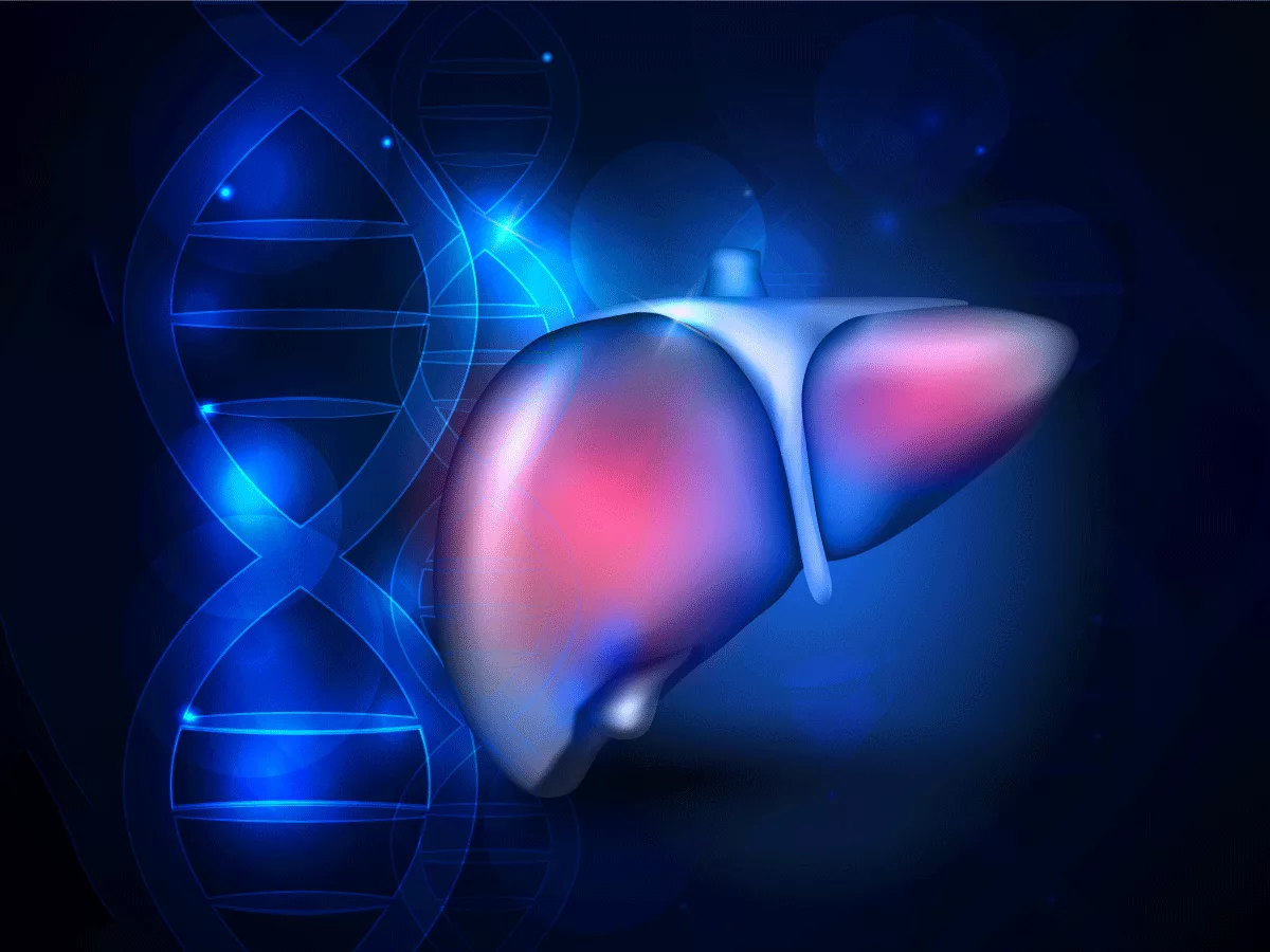 Liver and DNA Liver and DNA