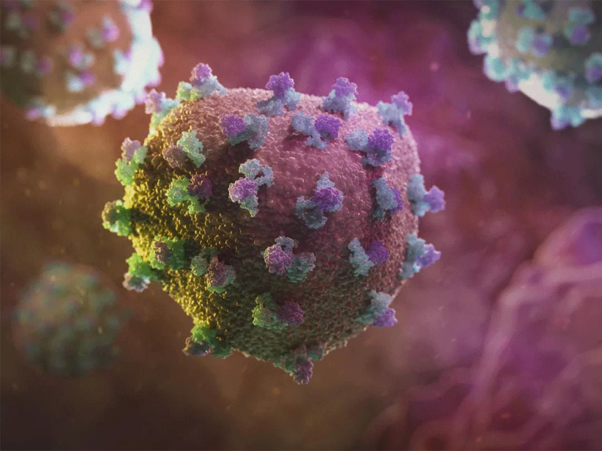 Hepatitis C virus Hepatitis C virus