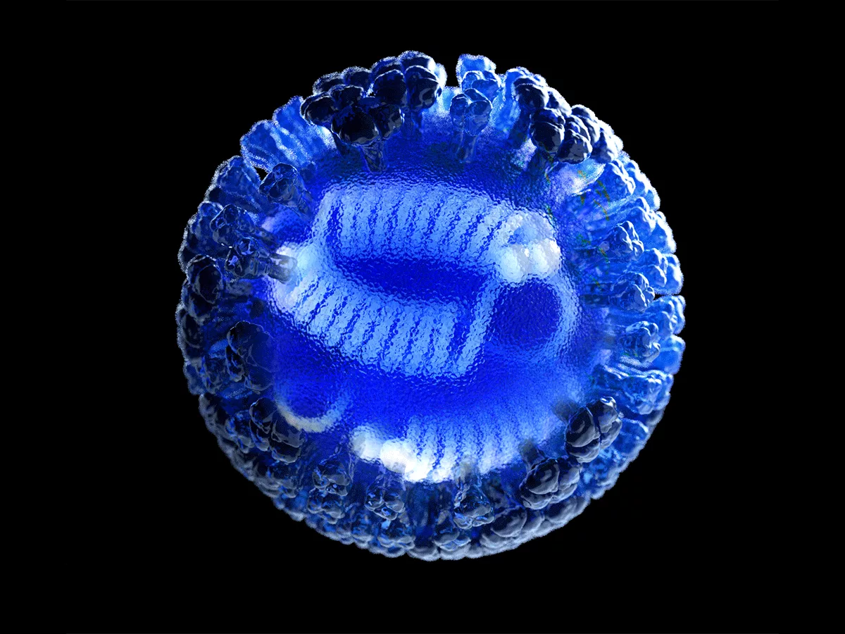 Influenza virus Influenza virus