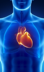 cardio_sept._12_2012.jpg cardio_sept._12_2012.jpg