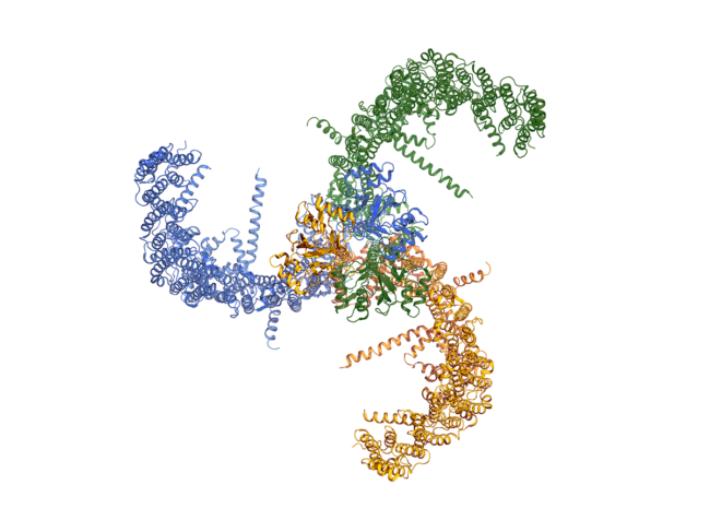 PIEZO protein 3D structure