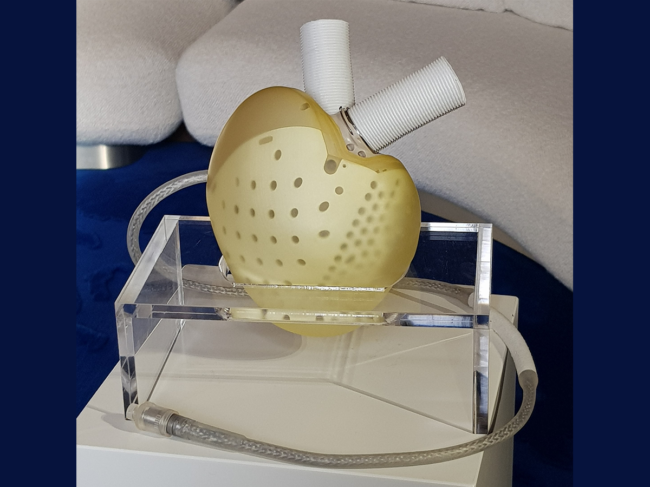 Carmat’s artificial heart product image