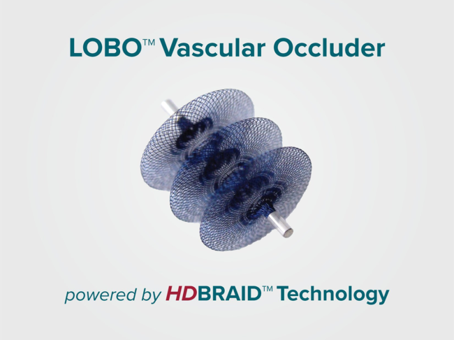 LOBO product image