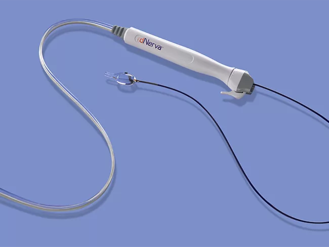 Dnerva product image