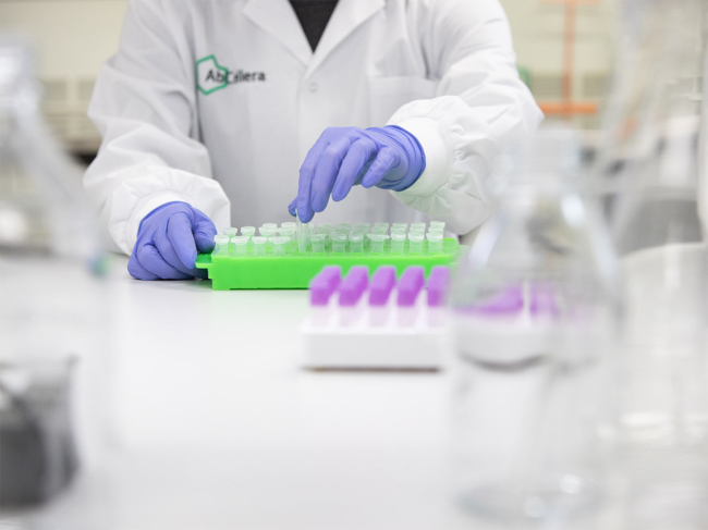 Abcellera scientist prepares reagents in lab