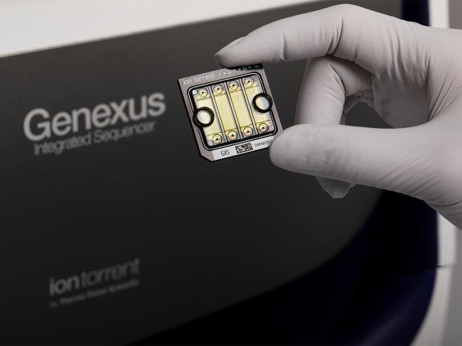 Close up of the Genexus chip