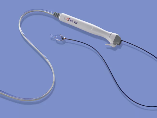 Dnerva product image