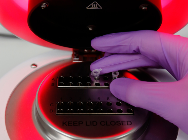 Gloved hand places sample tubes in PCR system