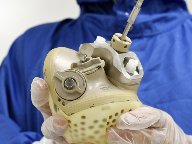 Person holds artificial heart in hands