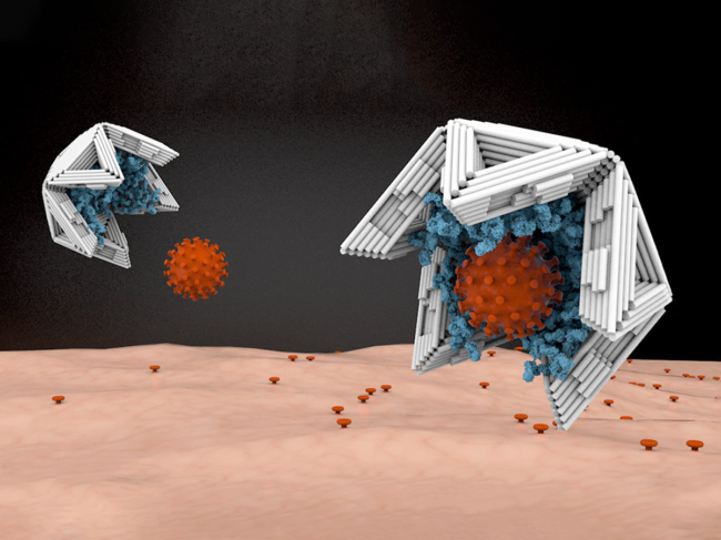 Concept illustration of nano-capsules for virus trapping