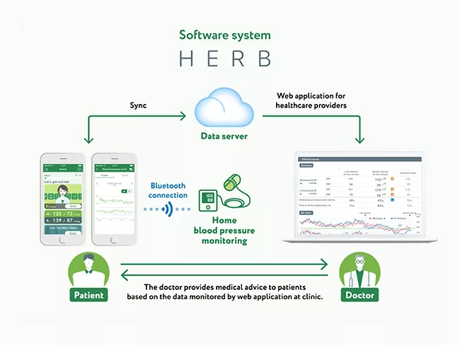 Flow chart showing how the app works