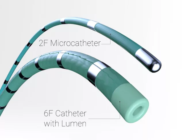 Epstar 2F (top), Epstar 6F (bottom)