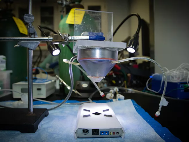 Ultrasound set-up used in obesity and inflammation stud