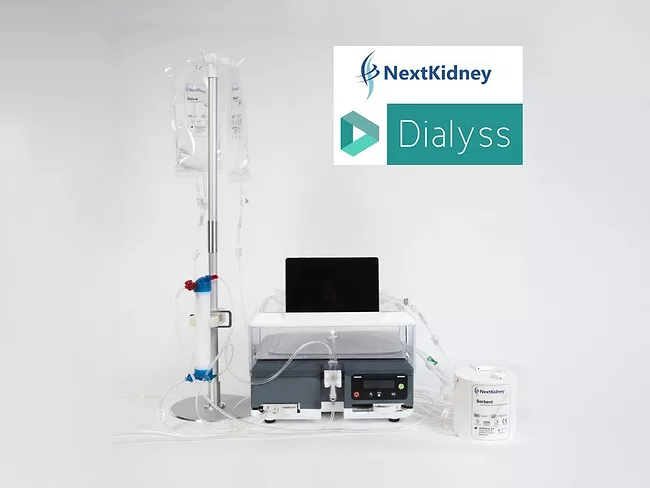 Neokidney system