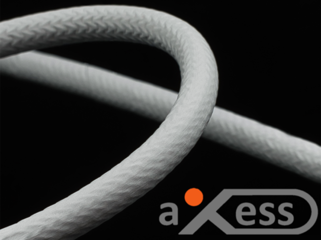 Axess device and logo