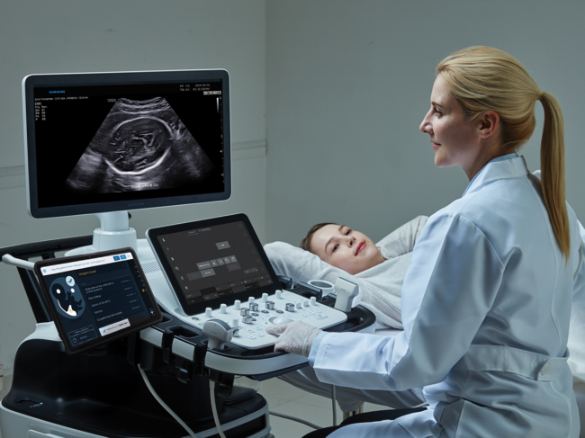Technician conducting fetal ultrasound 