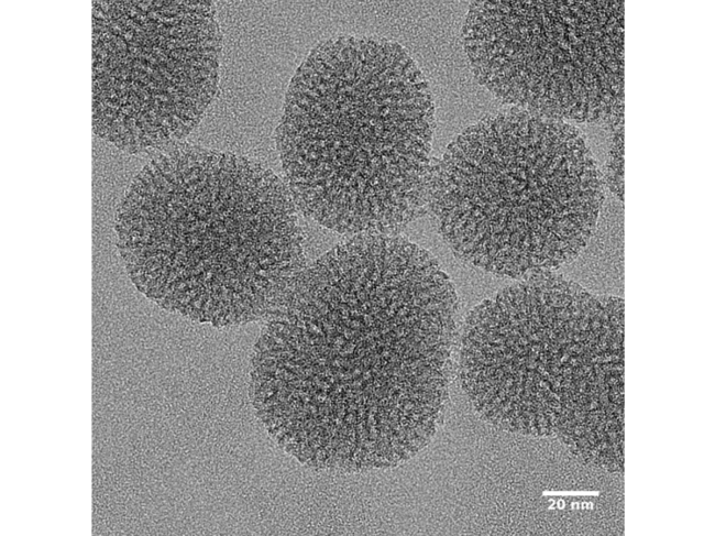 Nanoparticle - UNIGE LMU