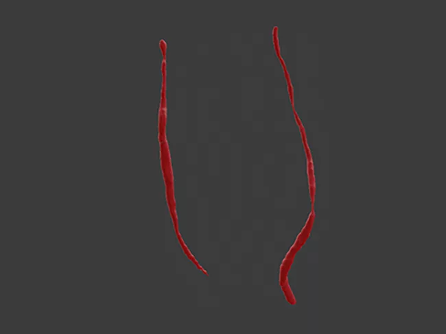 Rsip Vision featured