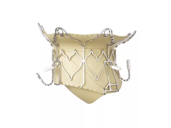 Epygon valve - Affluent Medical