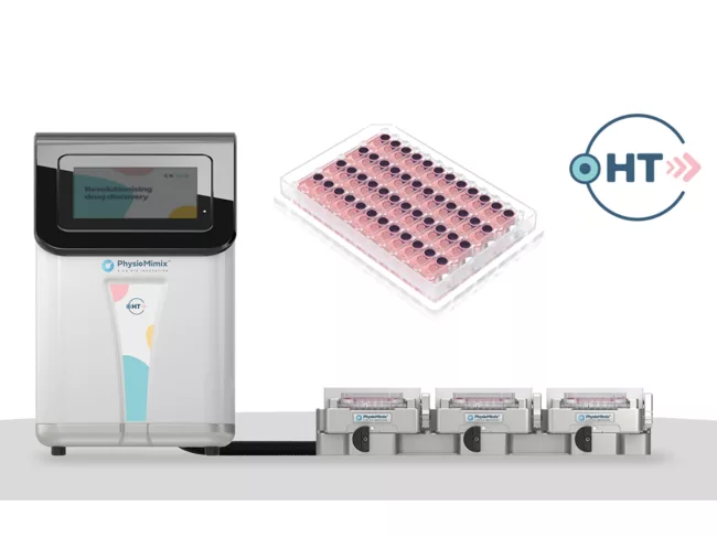 Physiomimix single organ HT system