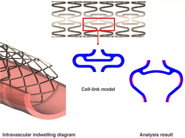Japan Medical Device Technologys resorbable coronary stent