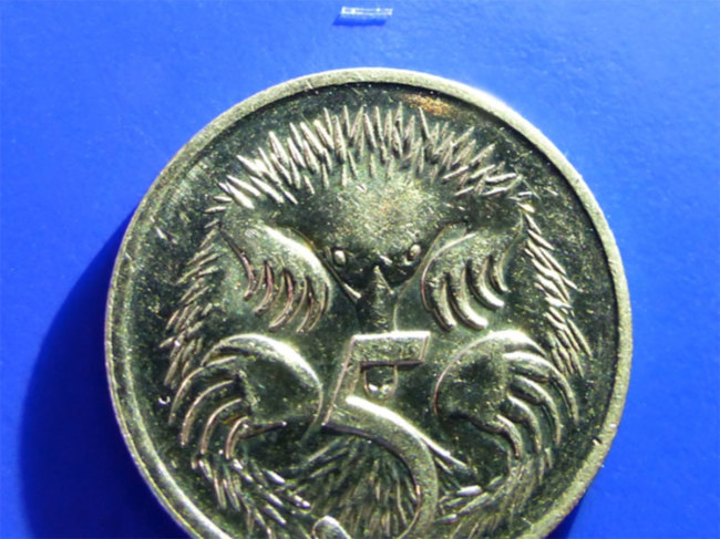 Polyactiva implant next to coin