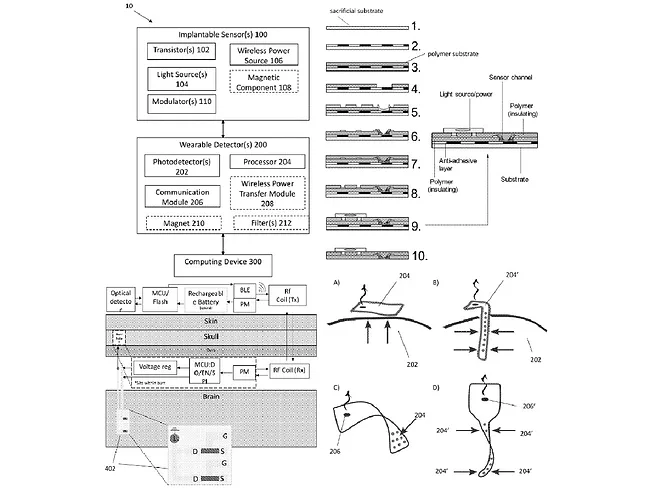 Opto Biosys brain sensor