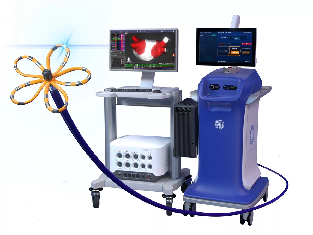 Jordanian-run bakery in Gaza surpasses 11 million loaves of bread | Jordan  Times, image size:1200x900