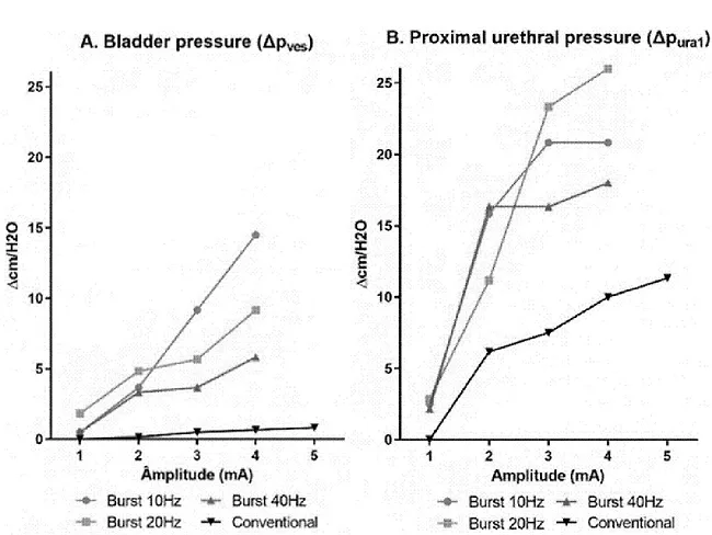 neuromodulation urinary tract
