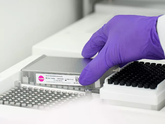 Pacbio Revio sequencing plate