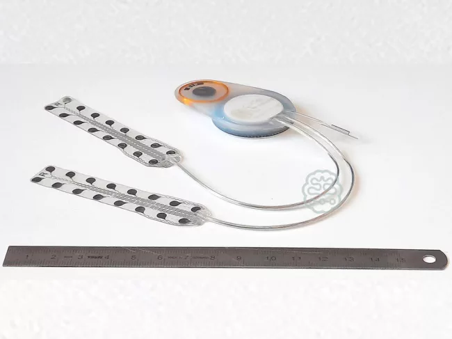 Cortec BCI Implant system