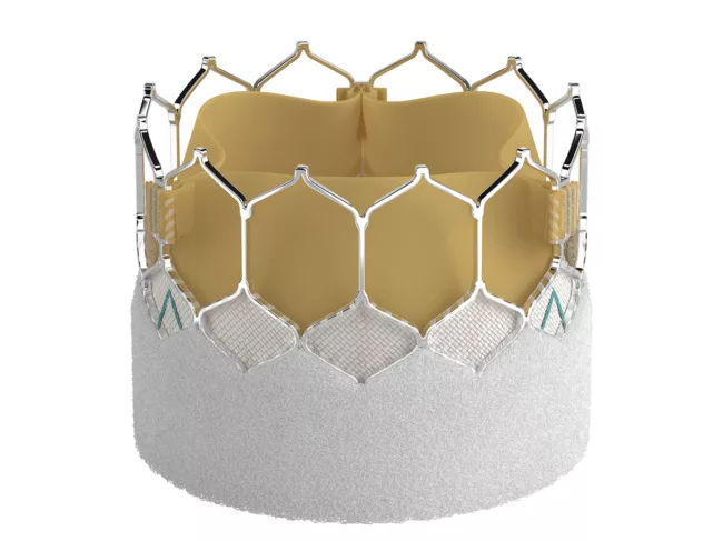 Edwards SAPIEN 3 transcatheter heart valve