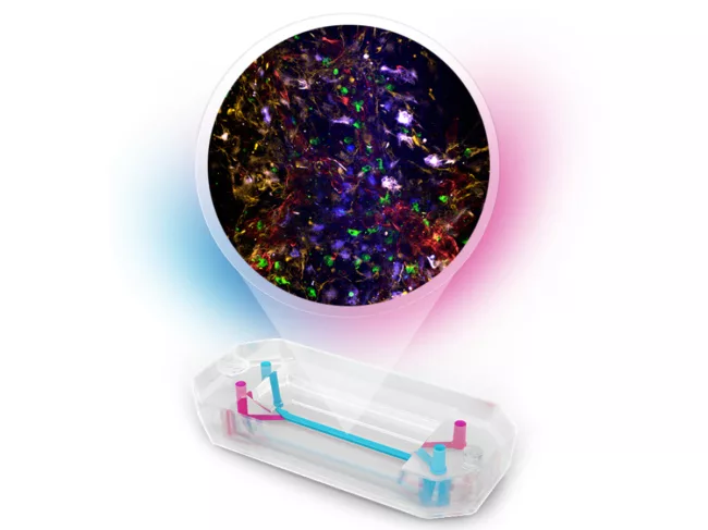 Emulate Chip R1 Brain