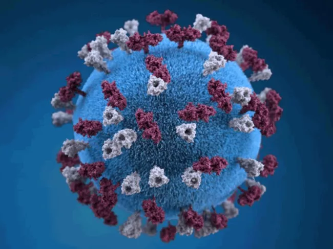 Bench-Press-measles-virus-11-4-hero.png