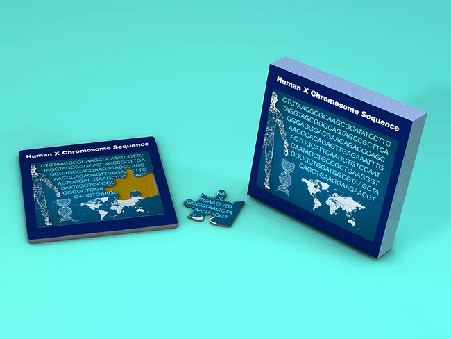 Human X Chromosome Sequence puzzle