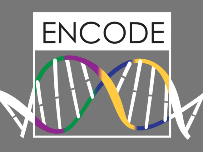 ENCODE project illustration