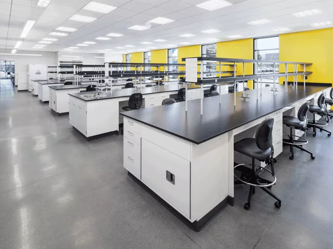 Insight-Golden-Ticket-pic-6-16