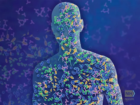 Microbiome illustration