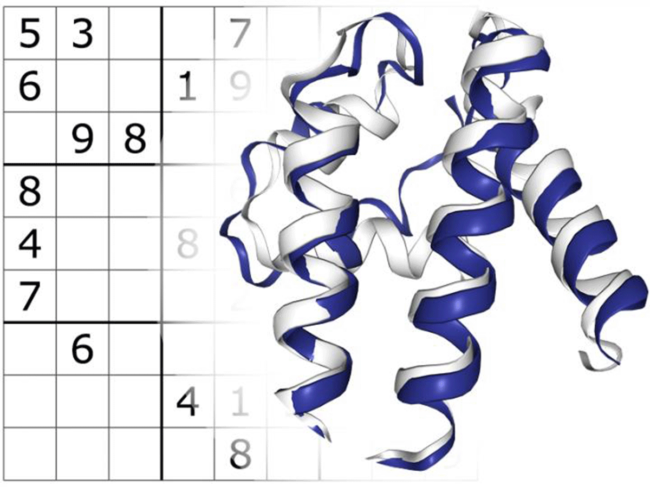 Suduko and protein structure