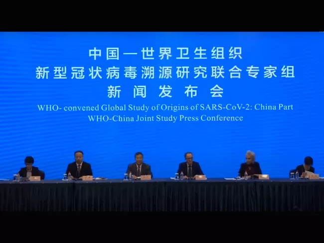 WHO COVID-19 origins press conference