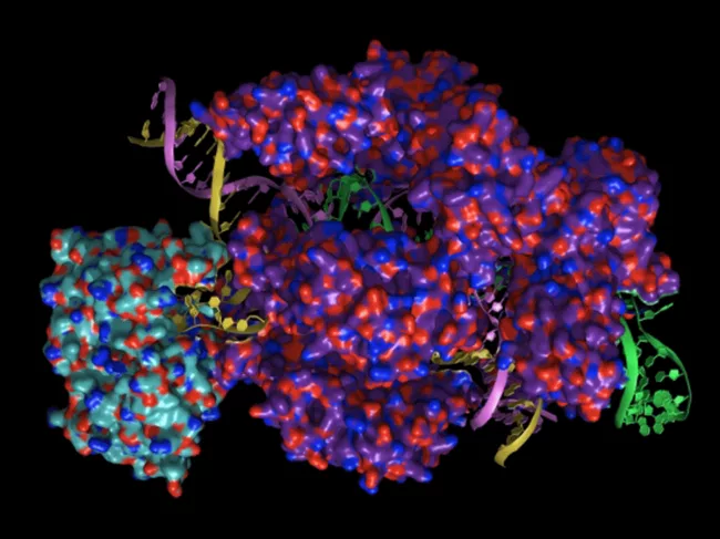 Cryo-EM structure 