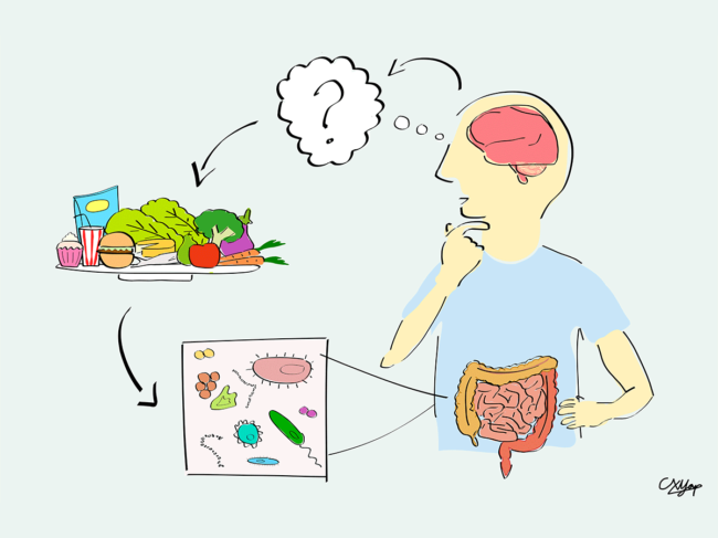 Autism and microbiome illustration