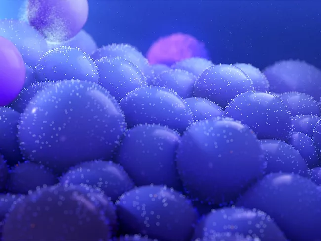 Rendering of hypoimmune cells