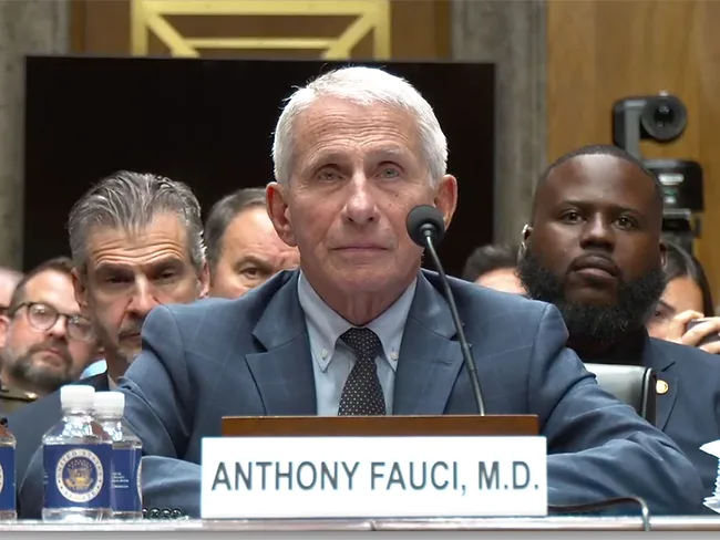 Anthony Fauci at Senate hearing 7-29