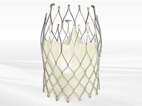 Biosensors international allegra transcatheter heart valve 5 20