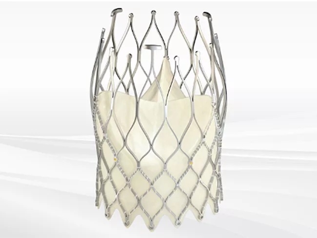 Biosensors International Allegra transcatheter heart valve