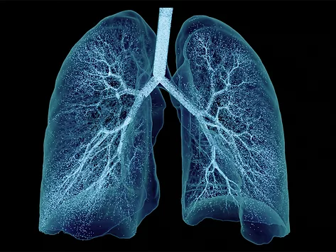 Ebenbuild lung digital twin with aerosol particles 4 17