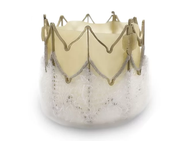 Mirus Siegel TAVR
